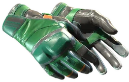 Moto Gloves | Turtle