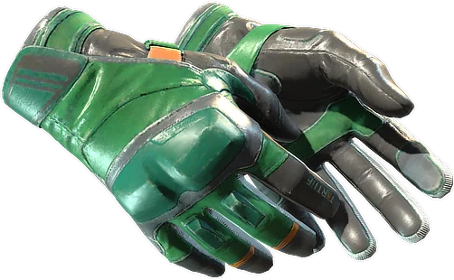 Moto Gloves | Turtle