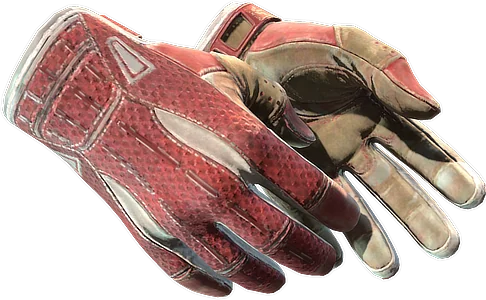 Sport Gloves | Slingshot